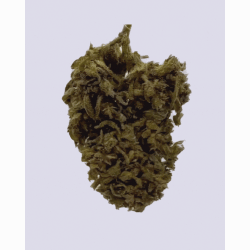CBH Blüte – Blueberry Yum Yum 33 %