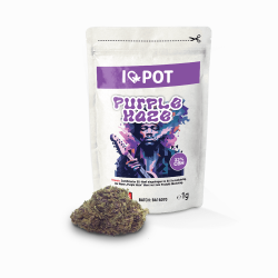 CBH Blüte - Purple Haze 33%