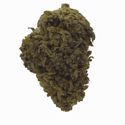 CBH Blüte - Purple Haze 33%