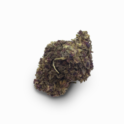 CBH Blüte - Purple Haze 33%