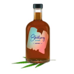 Steckling Cannabis Likör 0,5l